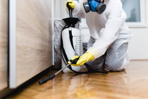 Best Affordable Pest Control Services  in Cherokee, NC