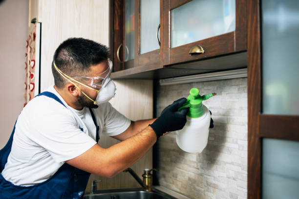 Best Wasp Removal Services  in Cherokee, NC