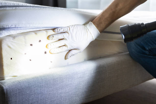 Best Residential Pest Control  in Cherokee, NC