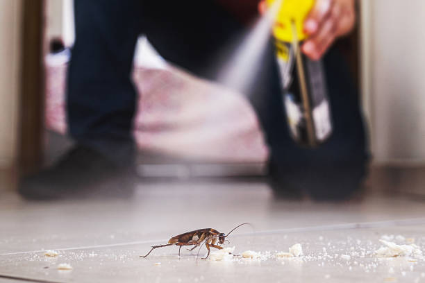 Flea Control Services in Cherokee, NC