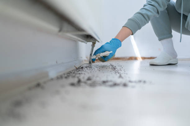 Best Emergency Pest Control  in Cherokee, NC